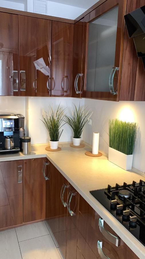 Golden Apartament Legionow Stary Toruń Exteriér fotografie